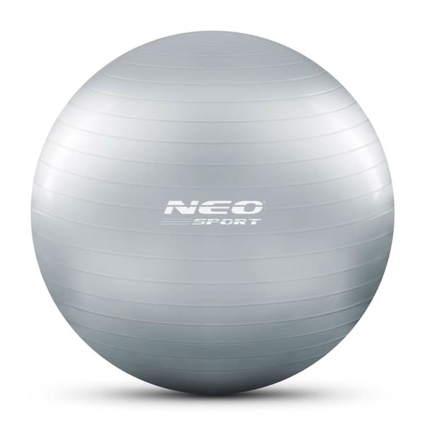 Träningsboll 75 cm NS-952 silver