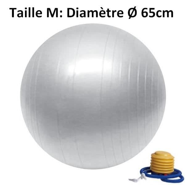 Sun&amp;Sia Blue Yoga/Fitness Ball Storlek M Pump Levereras Diameter 65cm