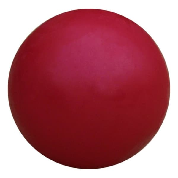 Rehabilitering Gymnastik Bold Yoga Pilates Spartan 16 cm Rød