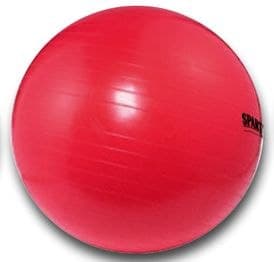 SPARTAN gymnastikboll 95 cm