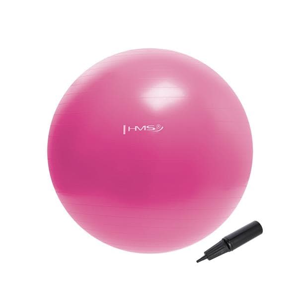 YB01 NY 55CM ROSA GYMNASTIKBOL HMS