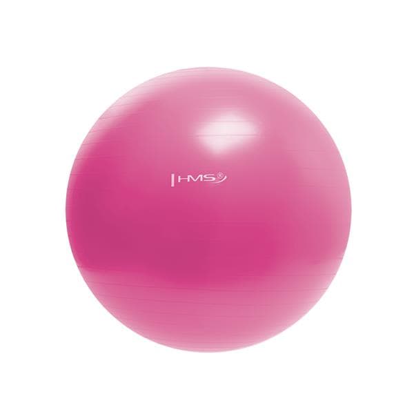 YB01 NY 55CM ROSA GYMNASTIKBOL HMS