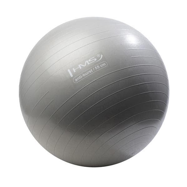 YB02 NY 55CM GRAFIT ANTI-BRUST GYMNASTISK BOLLA HMS