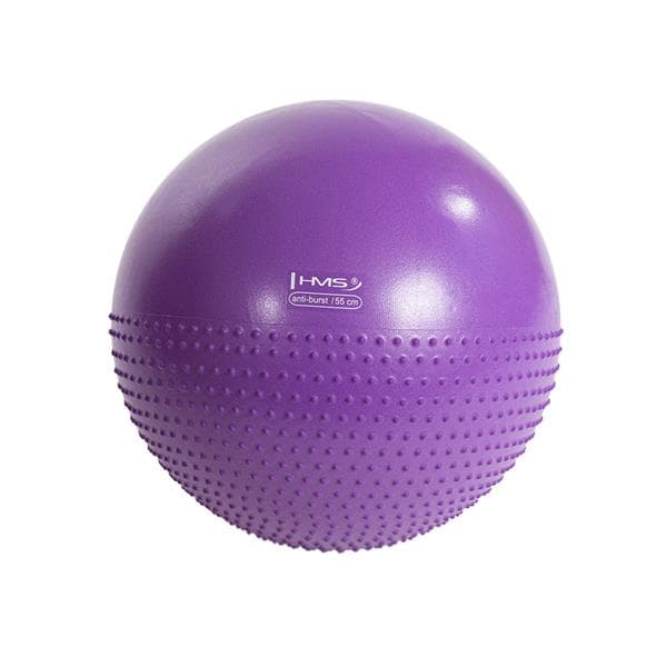 YB03 NY 55CM VIOLTT GYMNASTISK MASSAGEBOL HMS