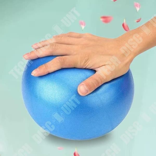 TD® Yoga Massageboll Blå 25cm Träning Pilates Balans Gymnastik Träning Träningsbollar