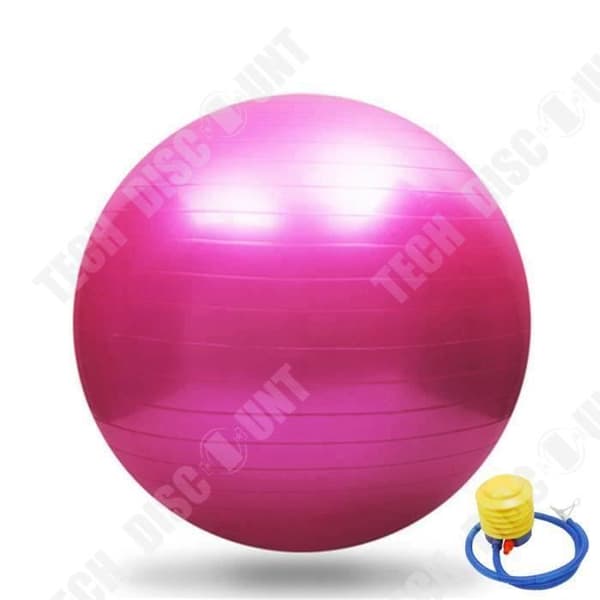 TD® Swiss Ball 65 cm för träning Yoga/ Gym/Fitness/ Swiss Ball Anti-burst + Rosa pump medföljer
