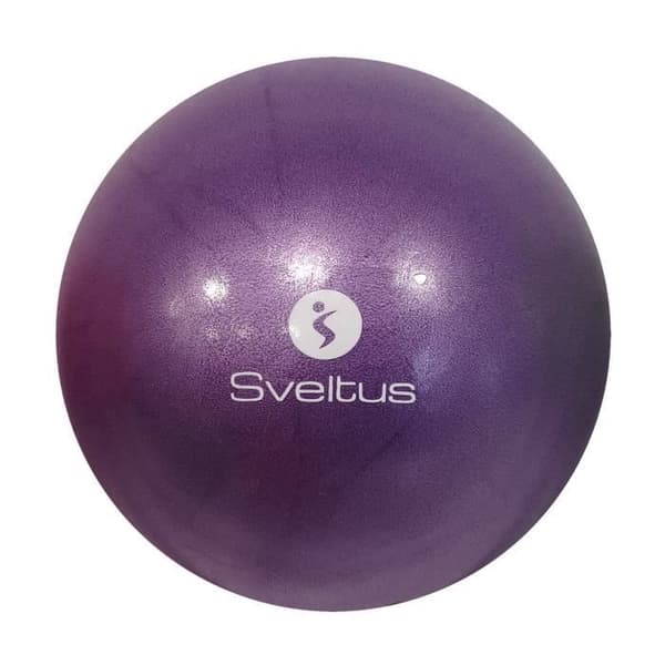 SVELTUS - Lila pedagogisk boll Ø22/24 cm bulk