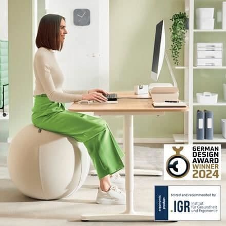 Stolballong - Leitz - Ergo - 55 cm - Ljusgrå - Kipp-säker TÜV