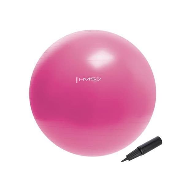 YB01 NYTT ROSE GYMNASTIKBOLL 55CM HMS