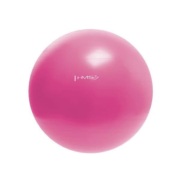 YB01 NYTT ROSE GYMNASTIKBOLL 55CM HMS