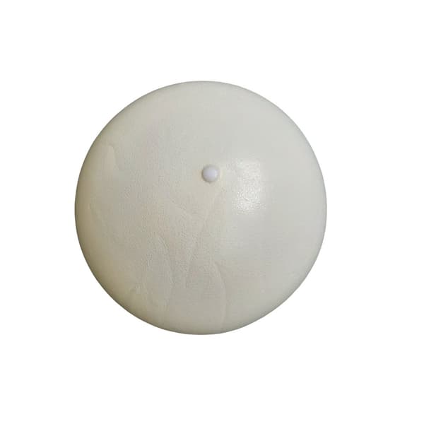 MASTER gymboll 26 cm - vit