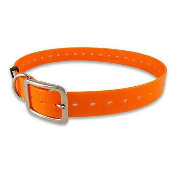 Collier Polyuréthane IBÁÑEZ. 25 mm. COLLAR I POLYURETHAN 2,5X70CM ELEKTRISK BLÅ