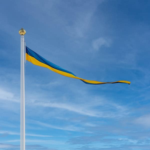 Vimpel till flaggstång Adela, Sverige, flaggvävd polyester, 500 x 50 cm