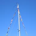 Miniatyrbild 5 av 11: Signalflaggor / flaggspel NOCK Eggegrund, 40 st internationella flaggor, 42 x 30 cm