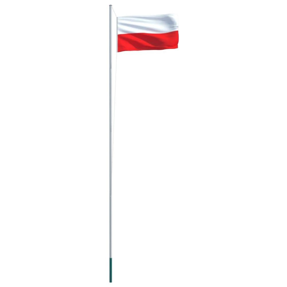 vidaXL polsk flag og flagstang 6,2 m aluminium
