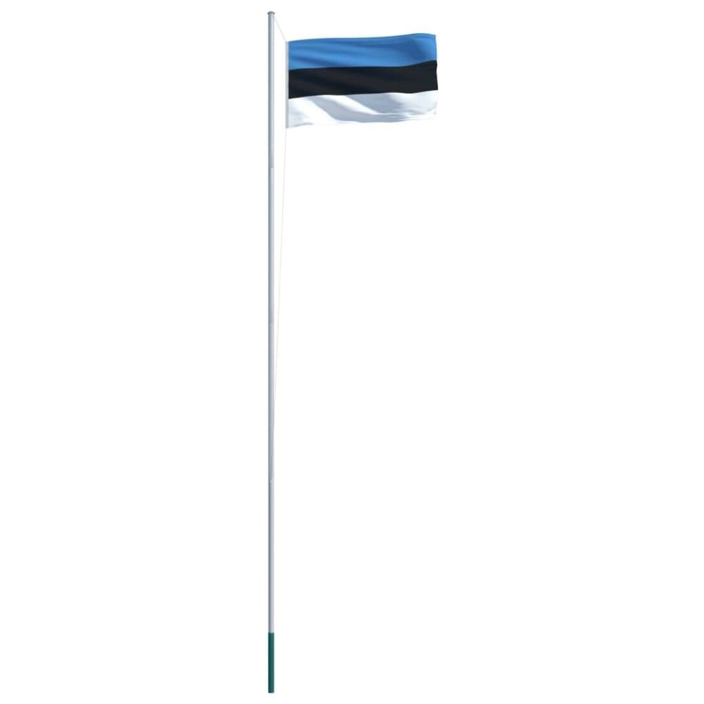 vidaXL Estlands flag og flagstang 6,2 m aluminium