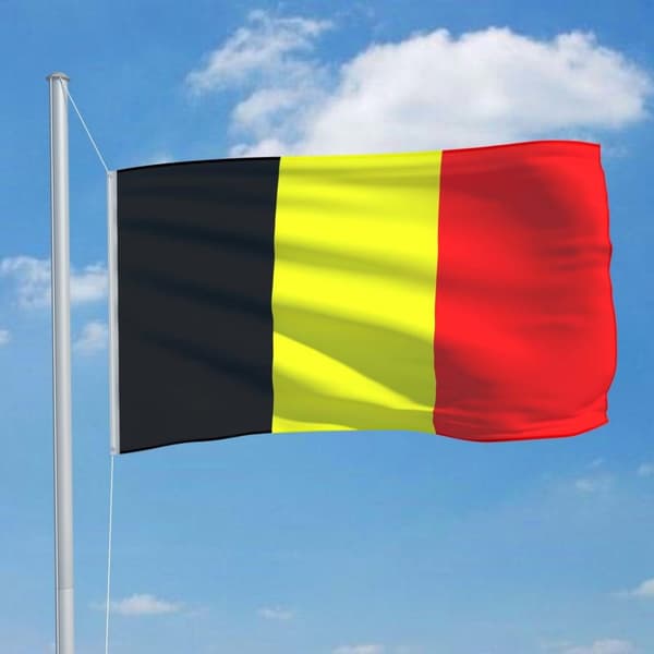vidaXL det belgiske flag 90x150 cm