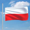 Miniatyrbild 3 av 7: vidaXL Polens flagga 90x150 cm