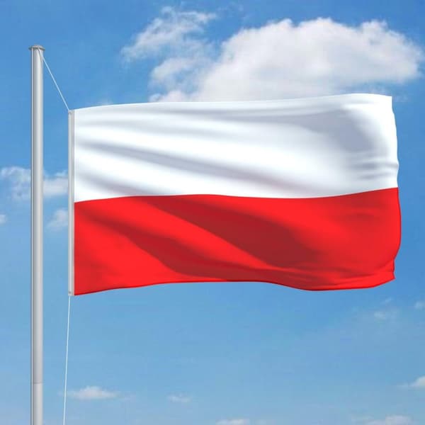 vidaXL Polens flagga 90x150 cm