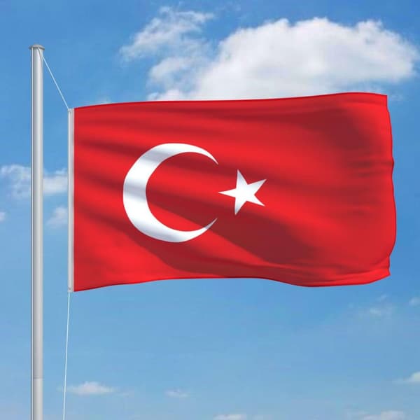 vidaXL Tyrkisk flagg 90x150 cm