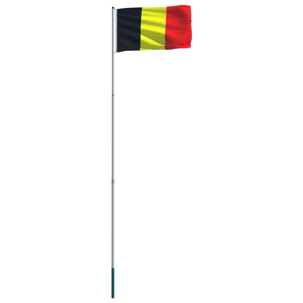 vidaXL Belgian lippu ja tanko alumiini 6 m
