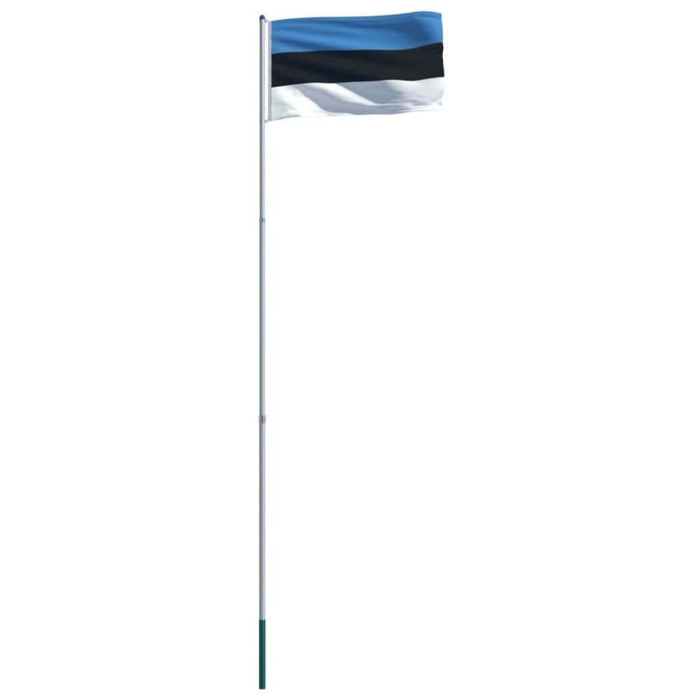 vidaXL Estisk flagg og stang aluminium 6 m