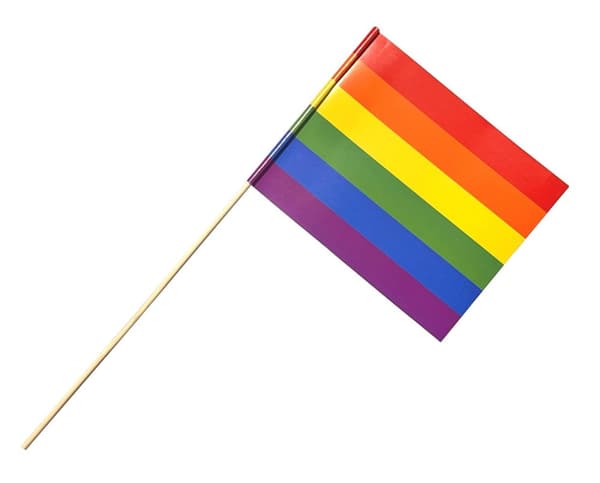Pride Flagga 6-pack Papp HBTQ+