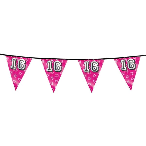 Boland Sweet 16 Holographic Bunting Pink One Size