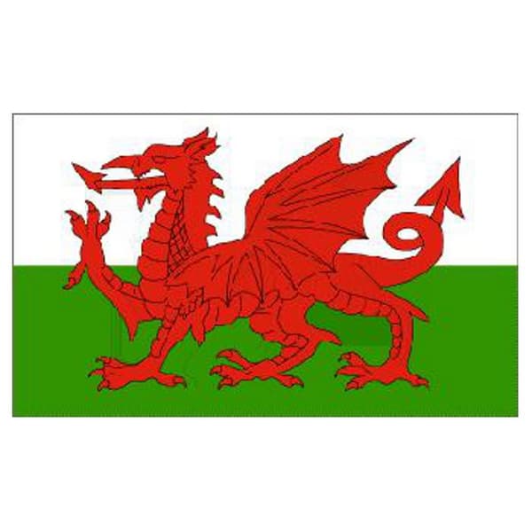 National Welsh Dragon Flag White/Green/Red One Size