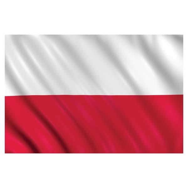 Amscan Polyester Poland Flag White/Red 5ft x 3ft