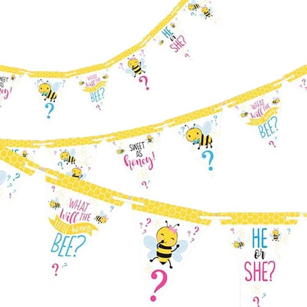 Amscan What Will It Bee? Gender Reveal Bunting Multicoloured One Size