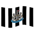Pikkukuva 2 / 2: Newcastle United FC Stripe Flag
