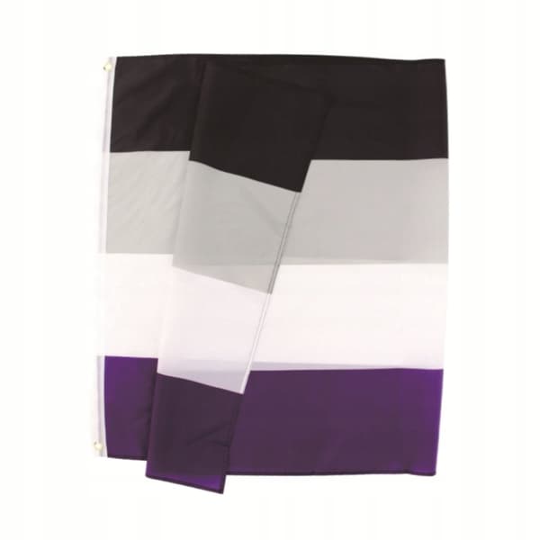 HBTQ-regnbågsflagga stor 90x150cm ASEQUENTITY F10