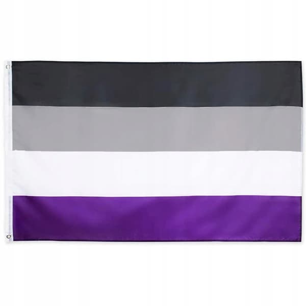 HBTQ-regnbågsflagga stor 90x150cm ASEQUENTITY F10