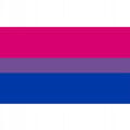 Miniatyrbild 1 av 9: HBTQ REGNBÅGSFLAGGA STOR 90x150cm BISEXUALITET F7