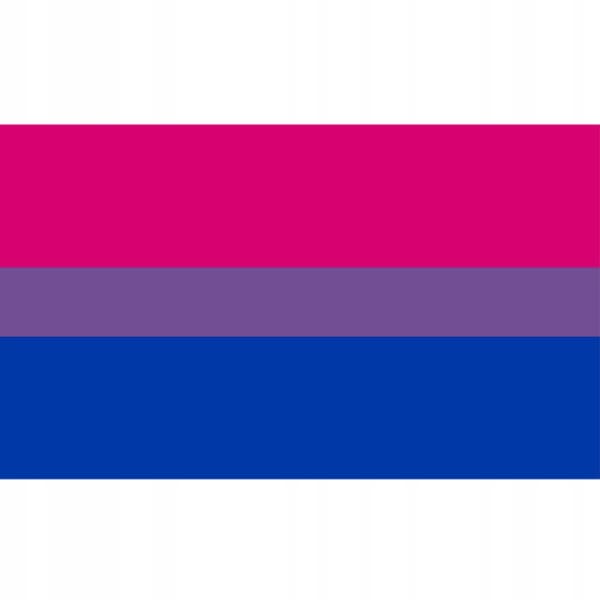 HBTQ REGNBÅGSFLAGGA STOR 90x150cm BISEXUALITET F7