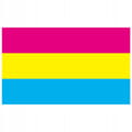 Miniatyrbillede 3 af 11: LGBT REGNBUEFLAG STOR 90x150cm PANSEKSUALITET F2