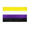 Miniatyrbillede 3 af 9: LGBT REGNBUEFLAG STOR 90x150cm IKKE-BINÆR F1