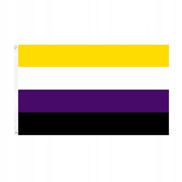 LGBT REGNBUEFLAG STOR 90x150cm IKKE-BINÆR F1