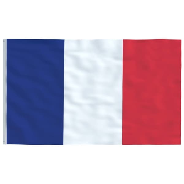 vidaXL det franske flag 90x150 cm