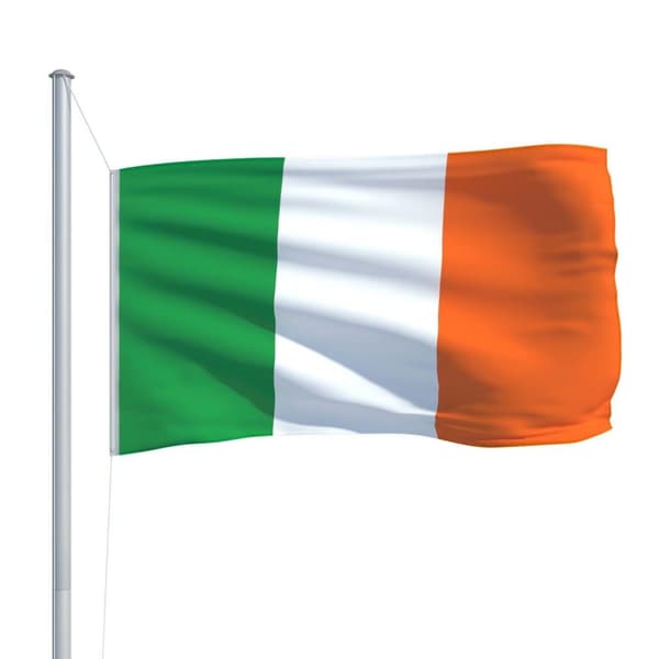 vidaXL Irlands flag 90x150 cm