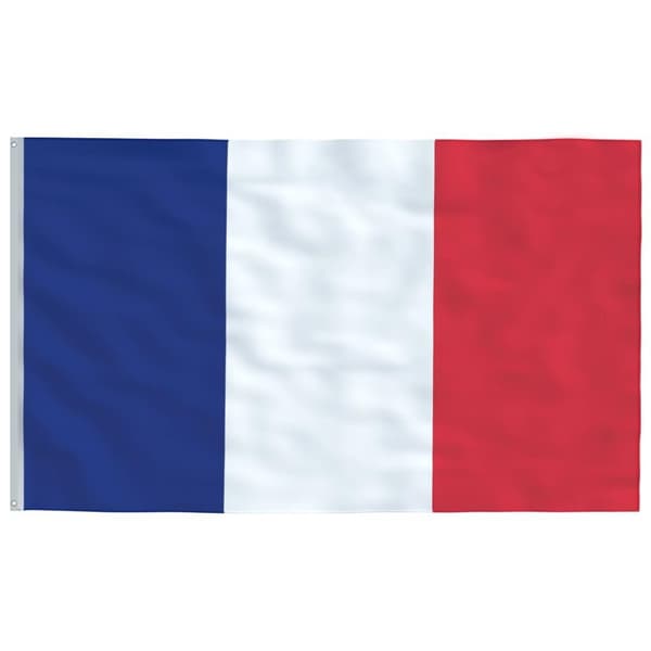 vidaXL Frankrig flag og flagstang 6,23 m aluminium