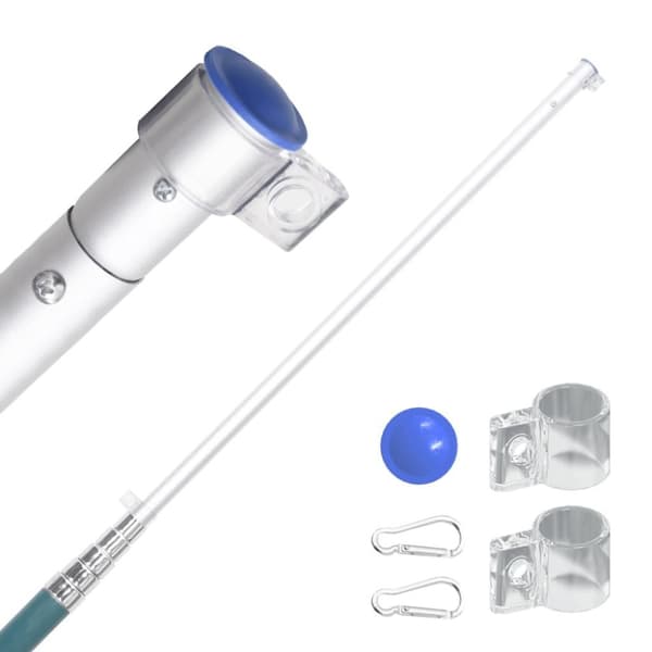 vidaXL Fransk flagg og stang 5,55 m aluminium