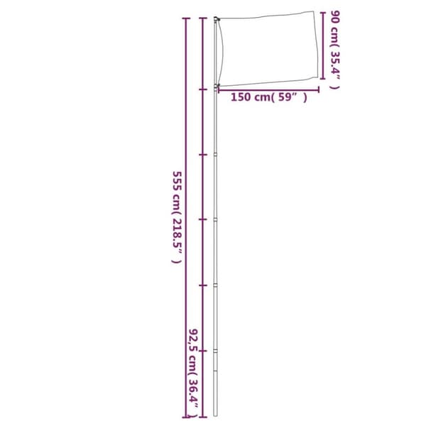 vidaXL Amerikansk flagg og stang 5,55 m aluminium