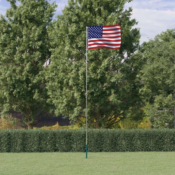 vidaXL Amerikansk flagg og stang 5,55 m aluminium