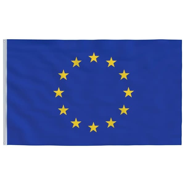 vidaXL Europeisk flagg og stang 6,23 m aluminium