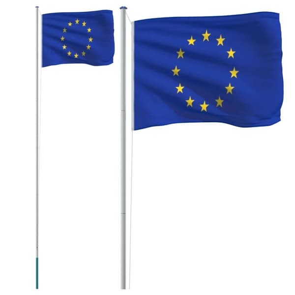 vidaXL Europeisk flagg og stang 6,23 m aluminium