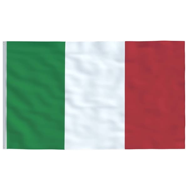 vidaXL Italian lippu ja lipputanko 5,55 m alumiini