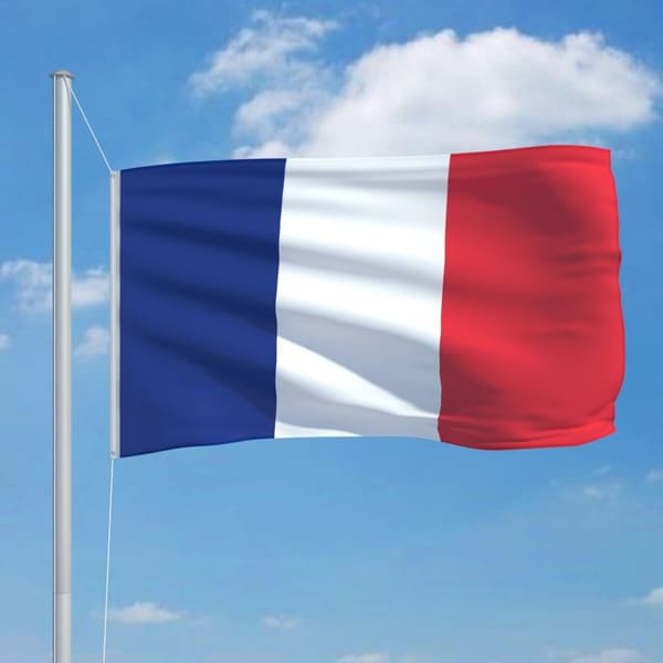 det franske flag 90x150 cm