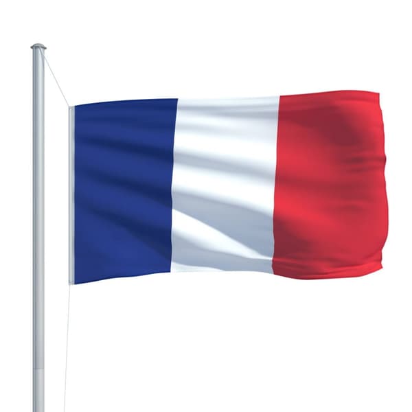 det franske flag 90x150 cm